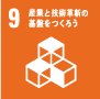 SDG 3